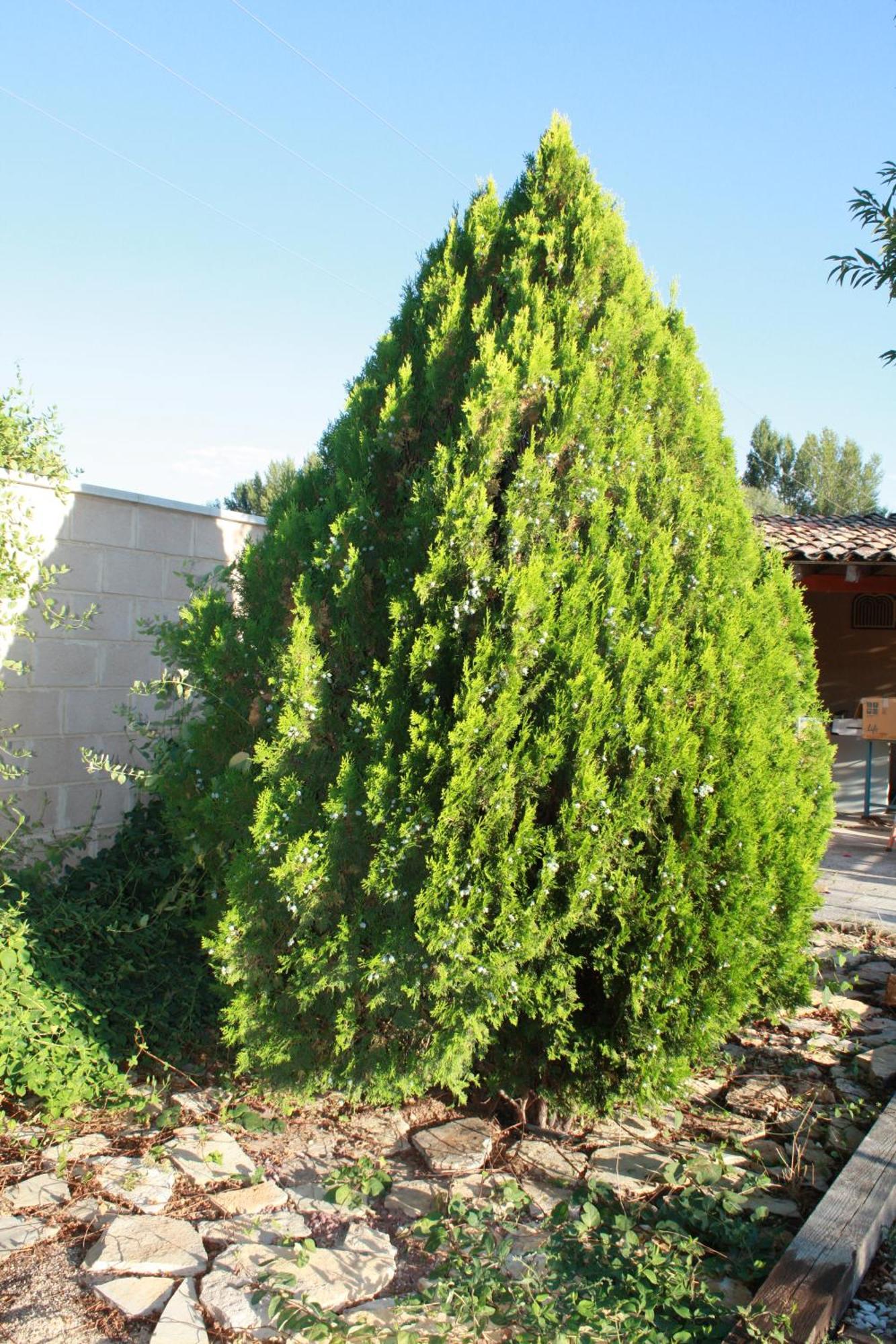 Loft La Buena Vida Apartment Penaranda de Duero Exterior photo
